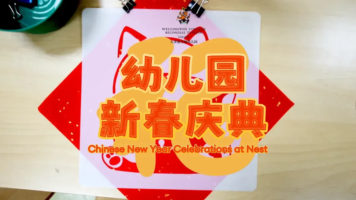 The Magical Spring Festival Journey at the Nest